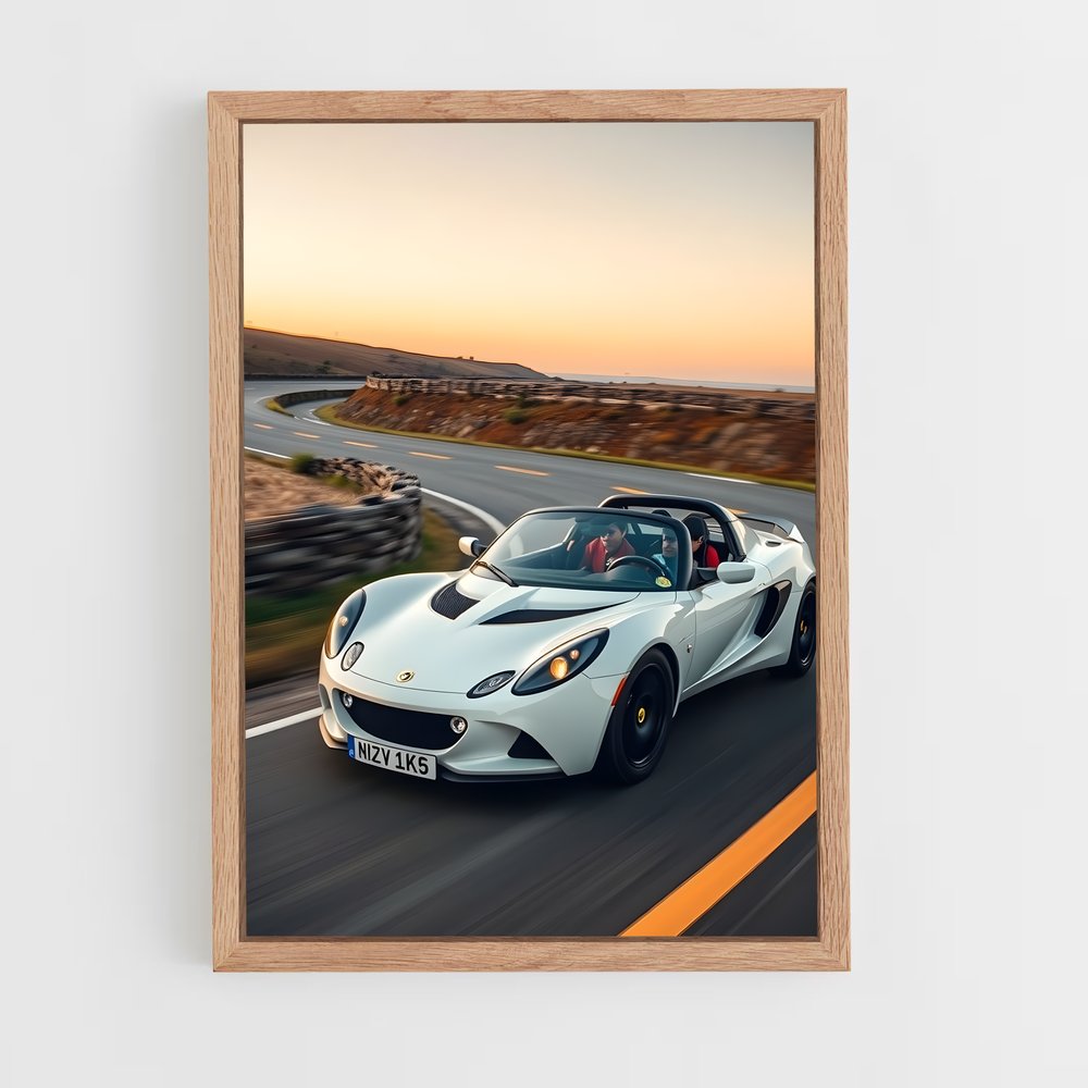 Poster Lotus Spirit (vue 4)